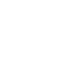 fmguru logo